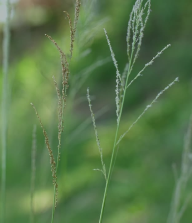 Sustainability Nordex Se